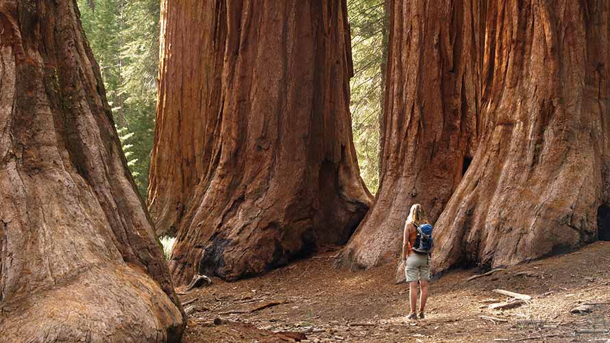 State and National Parks